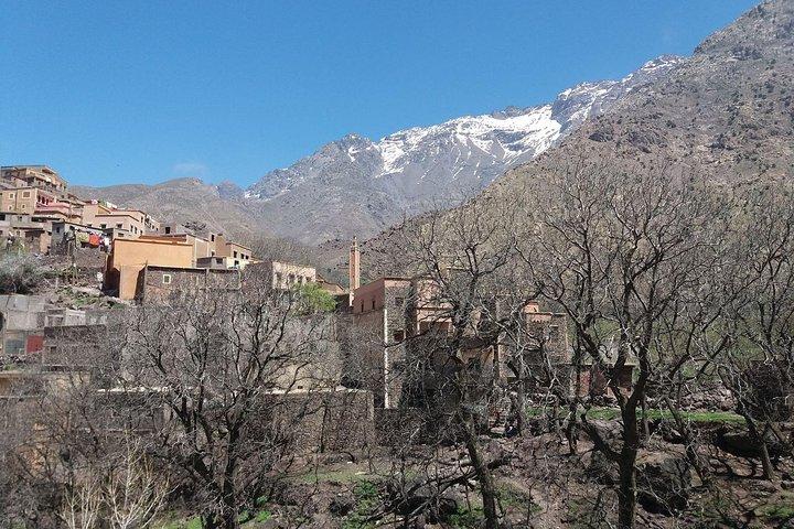 Marrakech til Atlas Mounatains Marokko 1 dag