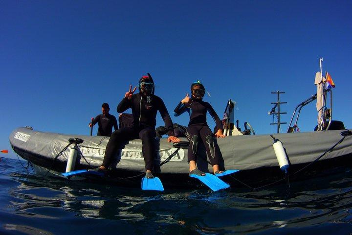 Tour e snorkeling con tartarughe marine e razze