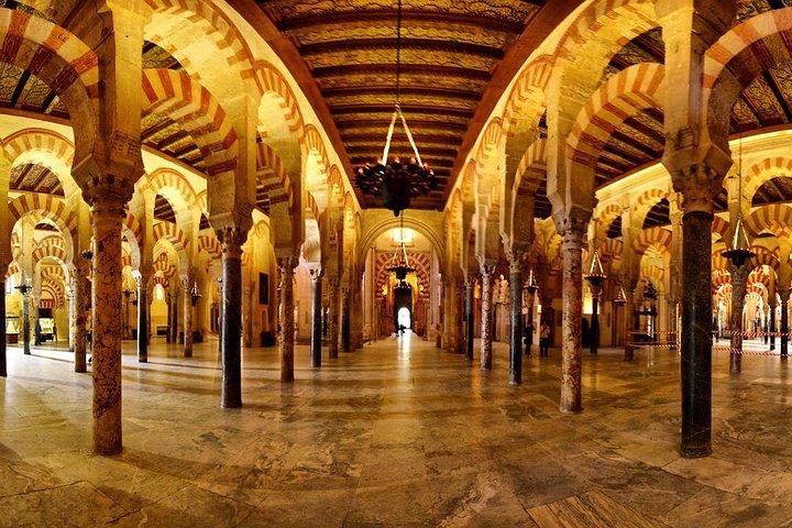 Cordoba en Carmona met Mezquita, synagoge en patio's uit Sevilla