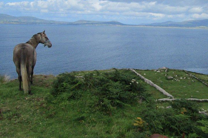 Excursion d'une journée de photographie de luxe sur Ring of Kerry et Skellig Ring - entièrement guidée et avec chauffeur