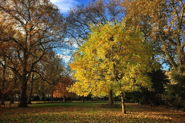 Visite littéraire privée à pied de Londres de Bloomsbury