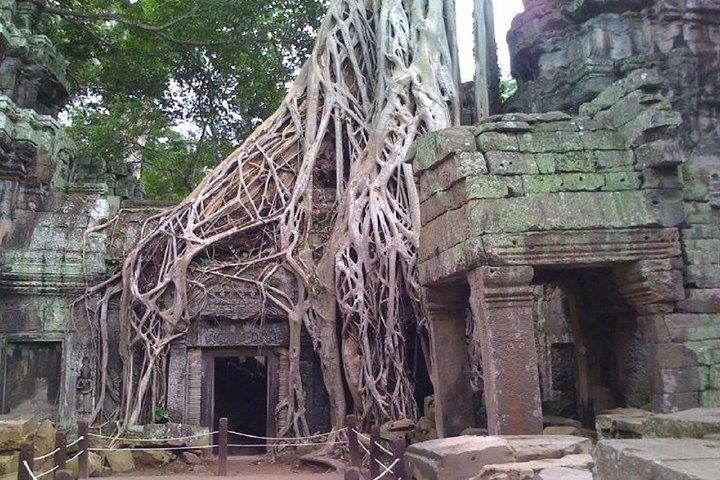 Angkor Wat: tour di 2 giorni