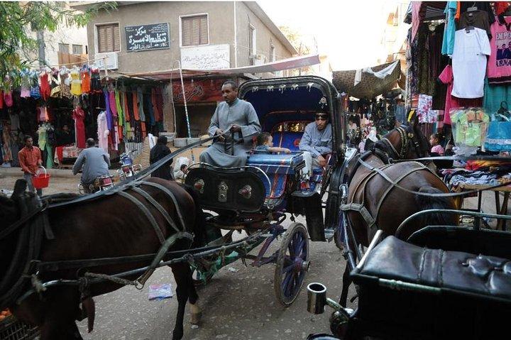 Visita della città in carrozza