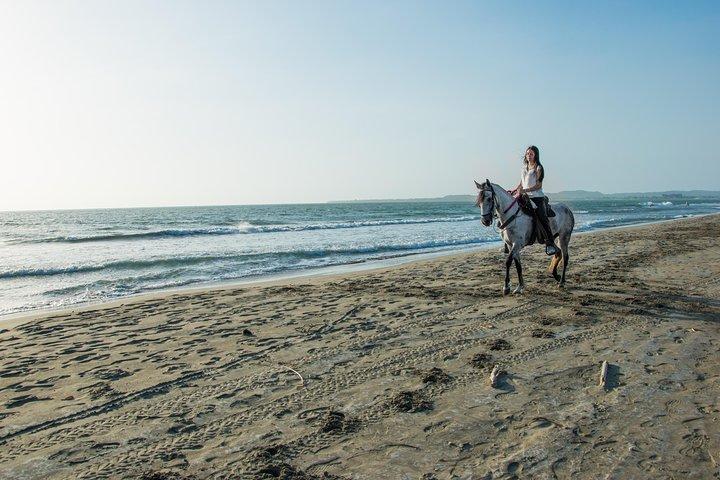 Horseback riding tour in a Colombian Paso fino horse