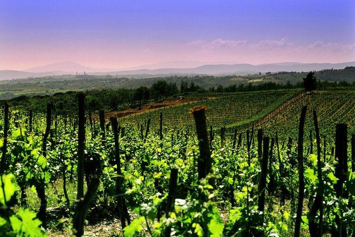 Privétour van 8 uur naar wijnmakerij in Franciacorta en Bergamo vanuit Milaan