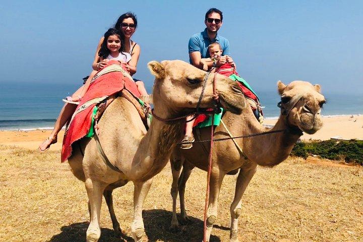 Private Ganztagestour durch Tanger und Asilah mit Fahrer und Fortgeschrittener