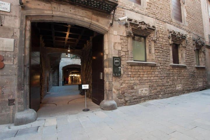 Picasso Museum & Private Walking Tour of Born or Gothic Quarter