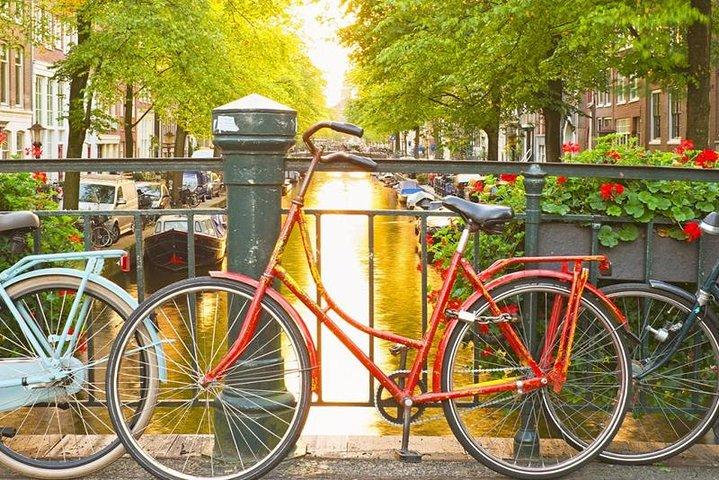 Amsterdam City Center Visite guidée à pied Semi-privé 12ppl Max