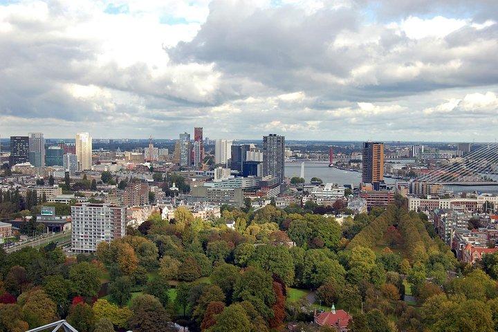 Rotterdam Private Tour mit einem Einheimischen