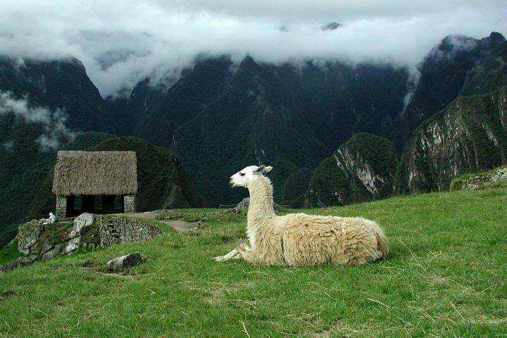 2-dages privat hellige dal og Machu Picchu Tour