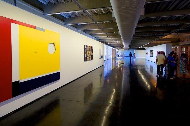 リオデジャネイロの近代美術館ガイド付きツアー、入場料、送迎