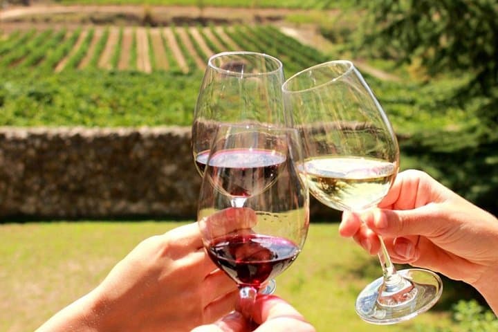 From CapeTown: Stellenbosch Half Day Wine Tour