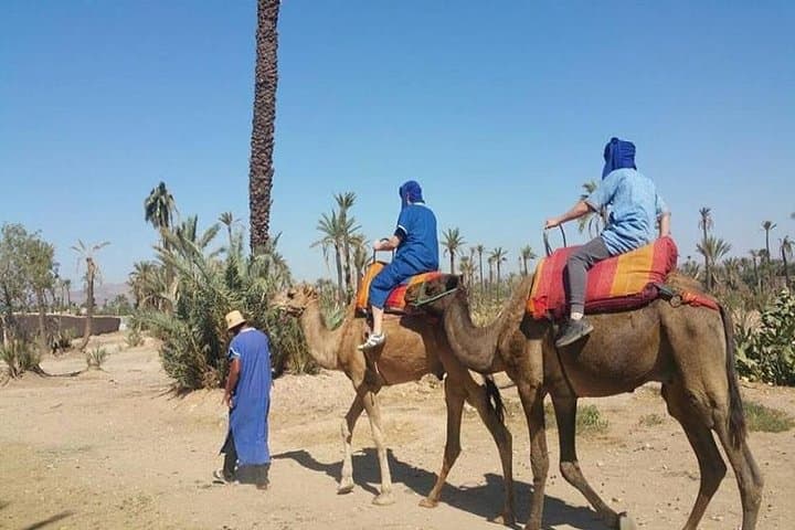 Camel ride tour in Marrakech