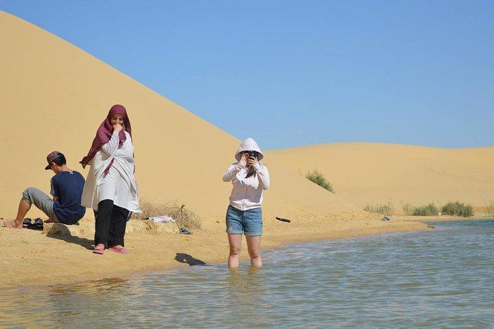 Excursion d'une journée à l'oasis de Fayoum du Caire