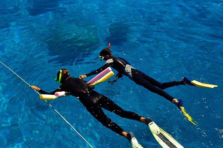 Crociera sulla Grande Barriera Corallina da Townsville o Magnetic Island