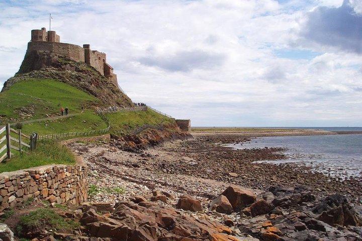Tour in piccoli gruppi della costa vichinga e del castello di Alnwick da Edimburgo