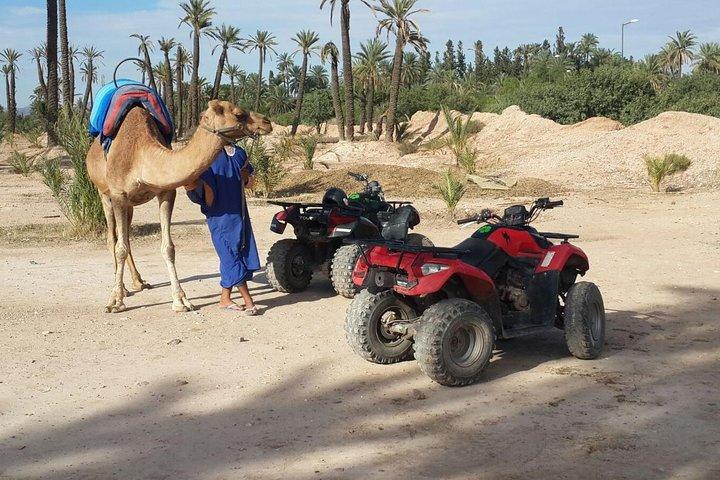 2-Hour Quad Bike & Camel Ride in Marrakech Palmeraie