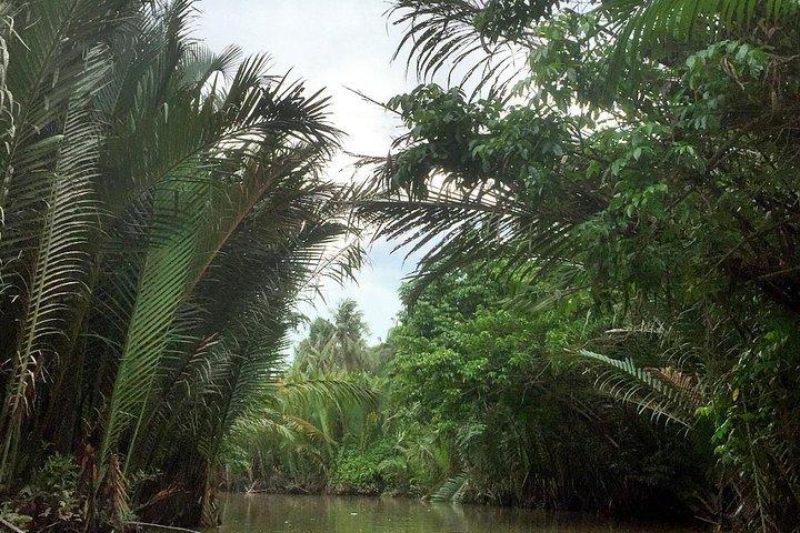 Excursão privada ao Delta do Mekong em Ben Tre dia inteiro