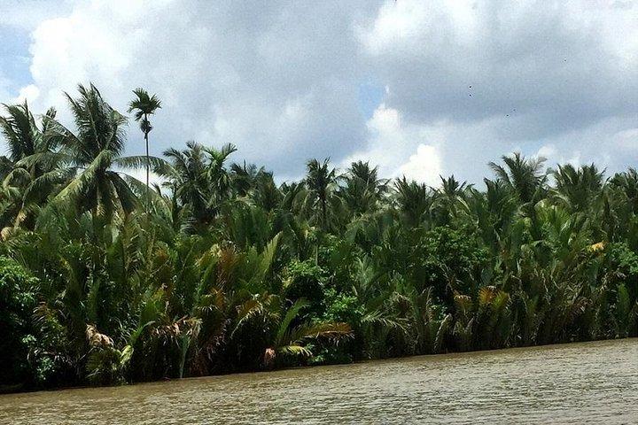 Excursão privada ao Delta do Mekong em Ben Tre dia inteiro