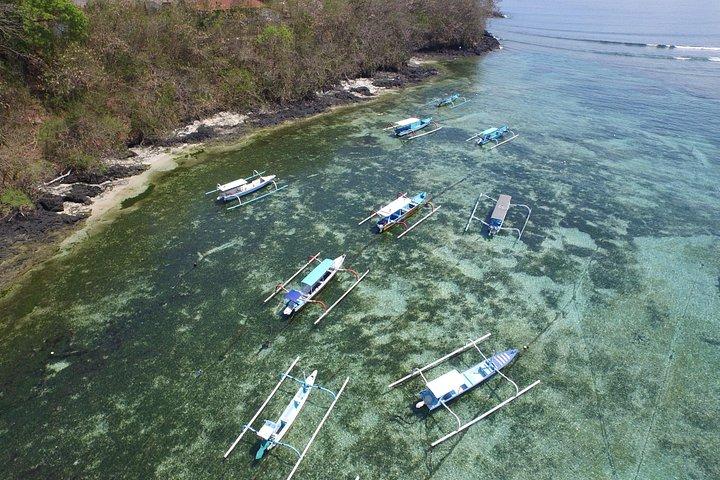 Prova le immersioni subacquee a Padang Bai