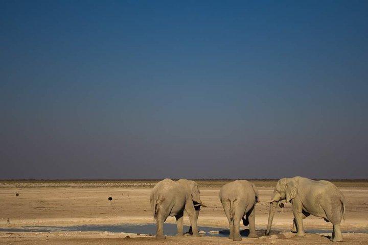 3 - Dia Etosha Express Safari acomodado de Windhoek
