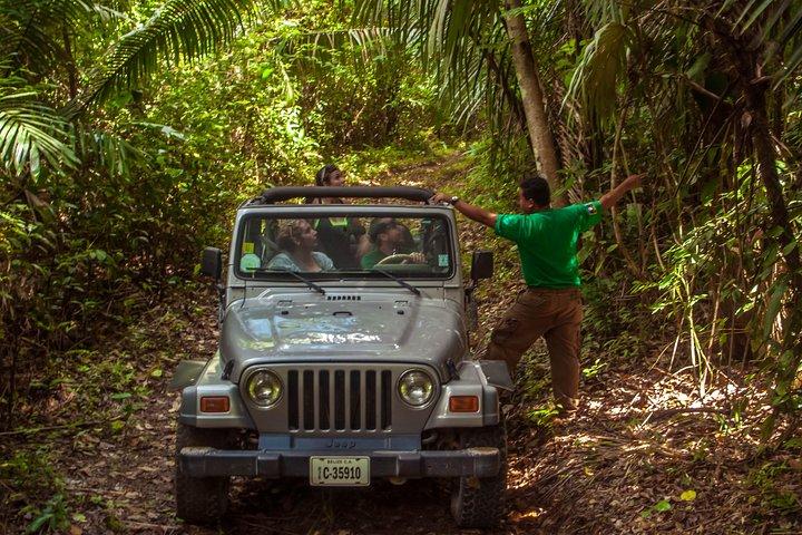 Jungle Jeep Adventure fra Belize City