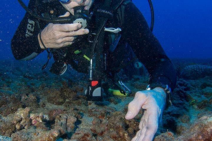 Maui Scuba Diving Introductory Lesson from Lahaina