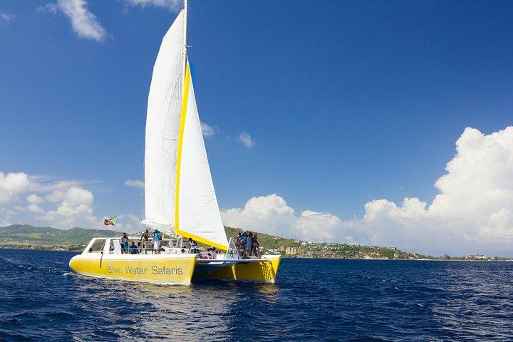 St Kitts Full Day Catamaran til Nevis