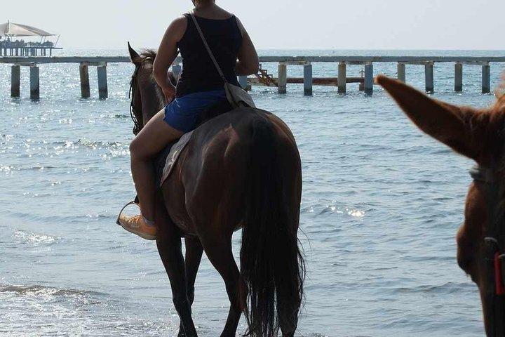 Passeggiate a cavallo sulla spiaggia di Side