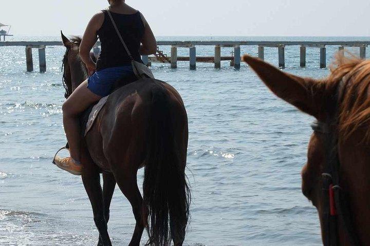 Bodrum Ridupplevelse med hotelltransfer