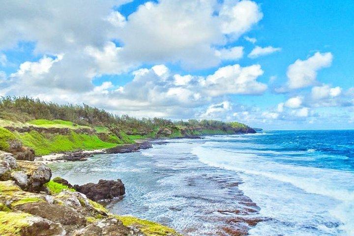 Tour privato del South Mauritius: fabbrica del tè, parco naturale e costa selvaggia del sud