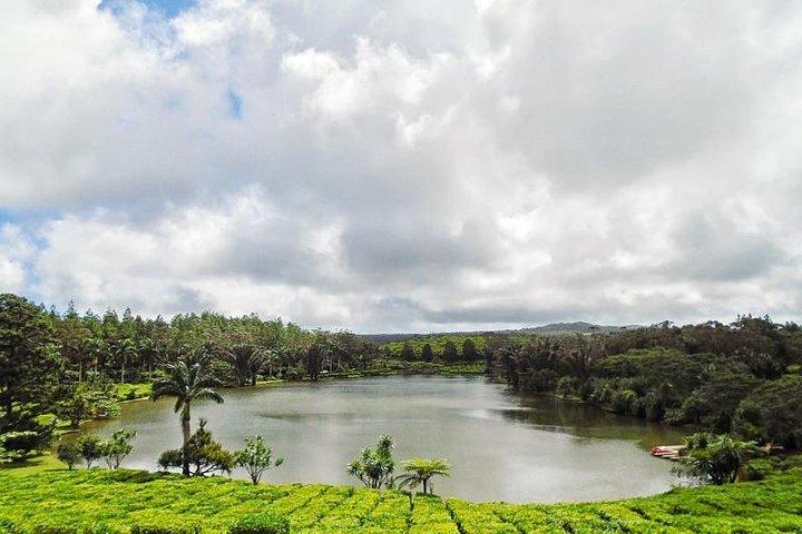 Tour privato del South Mauritius: fabbrica del tè, parco naturale e costa selvaggia del sud