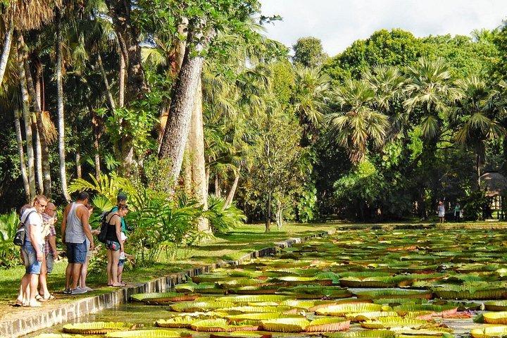 3-Day Private Mauritius Discovery with Optional Wild Dolphin Swim