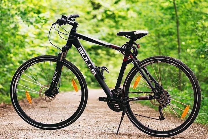 ホバートショアエクスカーション：小グループマウントウェリントン3時間自転車ツアー