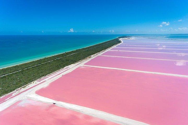 Aguas rosadas de Las Coloradas, Flamencos rosados ​​y Ciudad colonial de Valladolid,