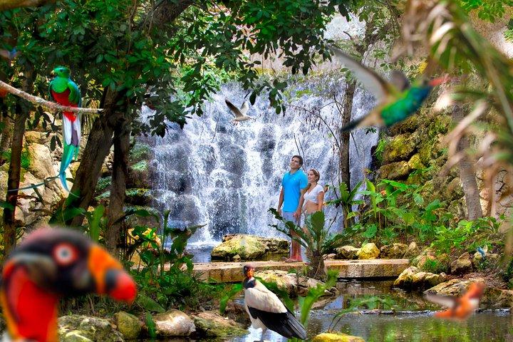 Tour Privado Tulum y Show Nocturno en el Parque Xcaret