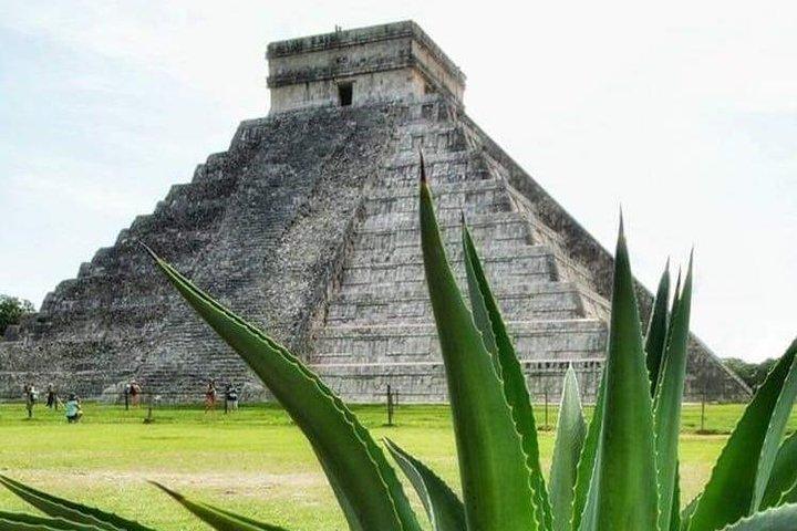 Private Day Trip: Ek Balam en Chichen Itza met Cenote en Tequila Factory