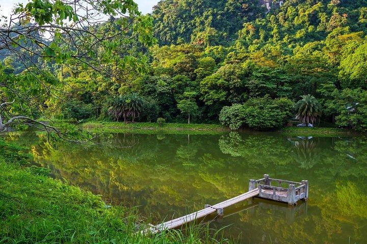 Visite du parc national de Cuc Phuong avec Guide Expert