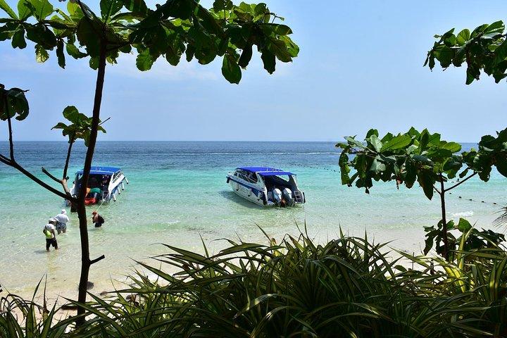 Private Phi Phi Island Schnellboottour ab Krabi