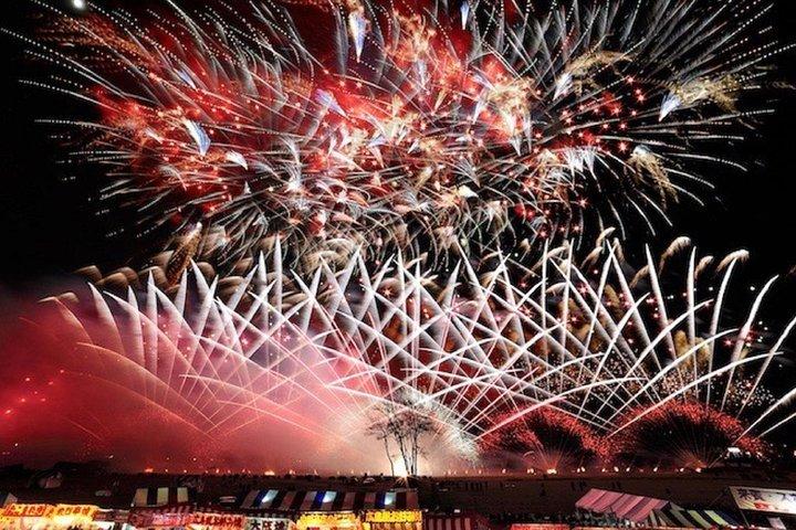 Snow Monkeys Park Tour and  Ebisu-ko Fireworks Fest in Nagano