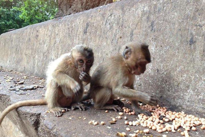 カオラック：ドラゴンの洞窟を含む終日寺院ツアー