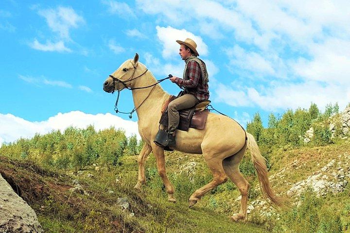 Esperienza equestre - Cavallo paso peruviano