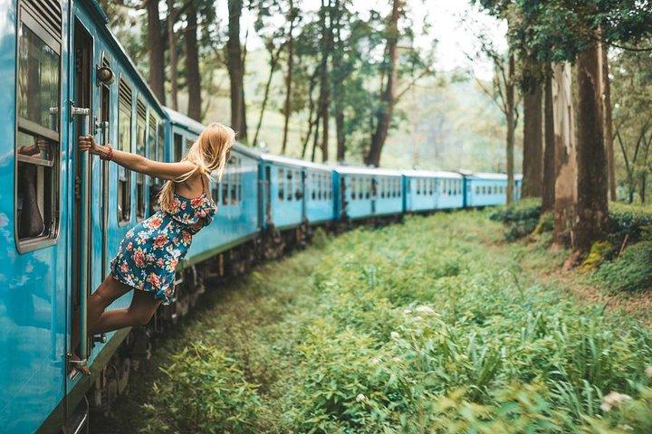 Day Excursions to Horton Plains & Local Train Experience from Ella