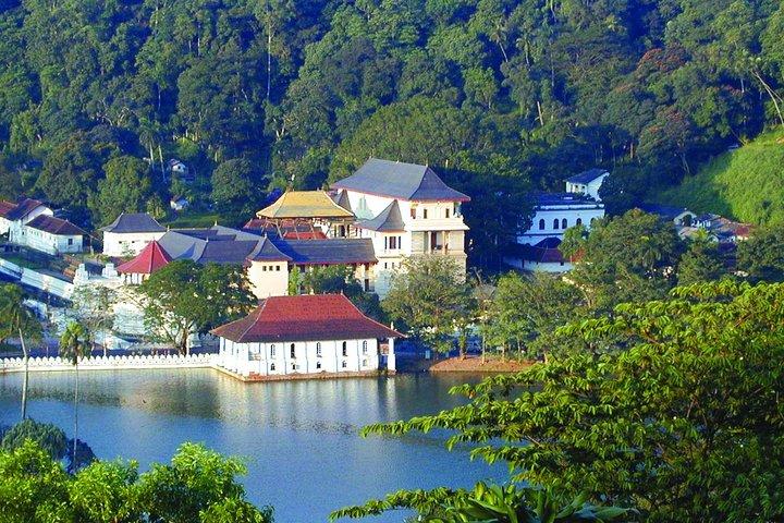 Private Kandy Tagestour von Bentota & Beruwala