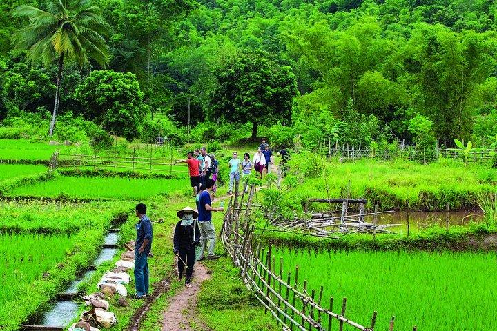 Mai Chau 2 dagen 1 nacht bezoek, fietsen Buoc dorp vertrekt vanuit Hanoi Center