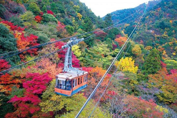 Autumn Leaves in Kobe: Boat Cruise and Ropeway (from Kyoto)