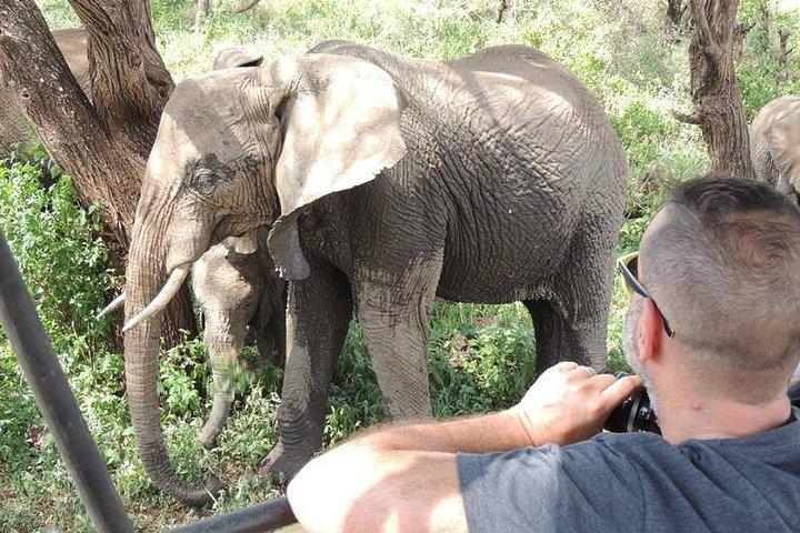 Full-Day Trip naar Tarangire National Park