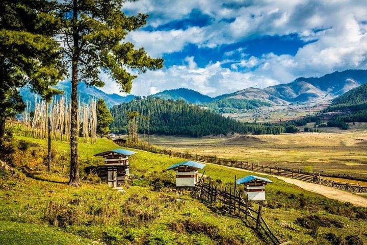 Underbar Bhutan Tour-8 nätter 9 dagar