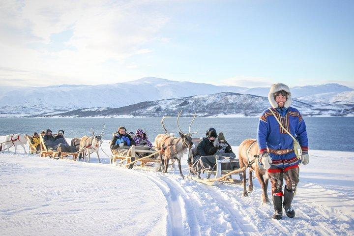 A cultura Sami e a travessia de renas curtas de Tromso