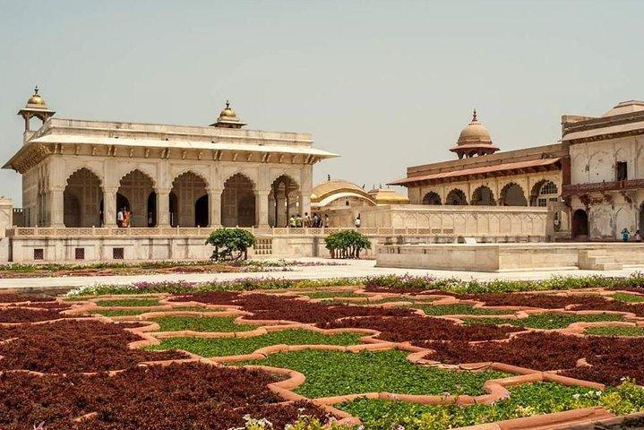 Från New Delhi: 3 dagars Golden Triangle Delhi Agra Jaipur Tour